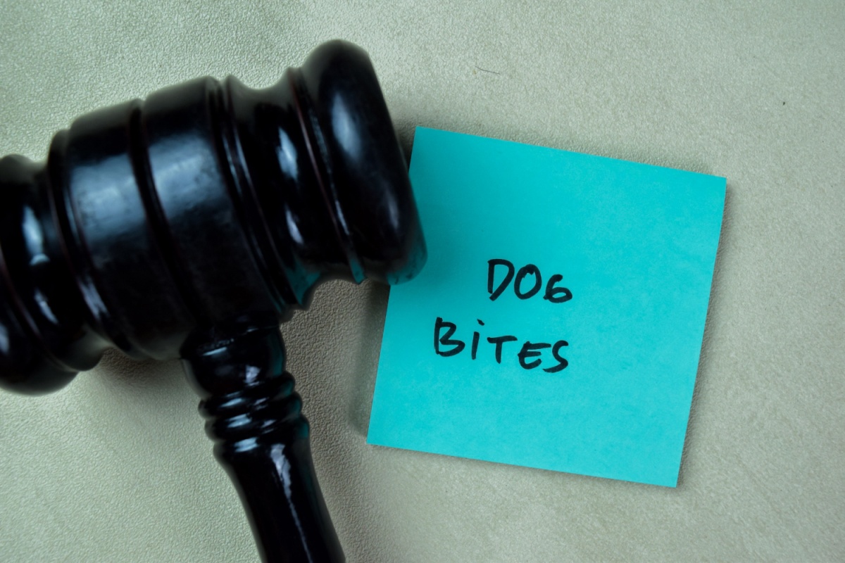 do i need dog bite lawyer